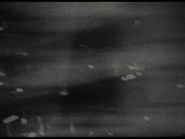 Náhledová fotografie 03