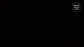 Náhledové video