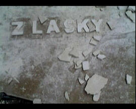 Z lásky