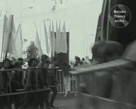 Náhledové video