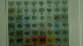 Autorizovaná reprezentace