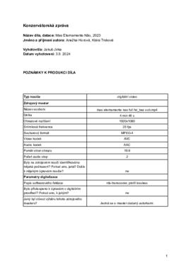 Konzervátorská zpráva