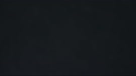 Autorizovaná reprezentace