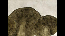 Náhledová fotografie 01