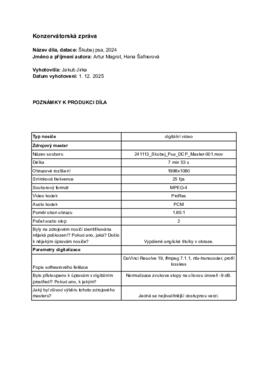 Konzervátorská zpráva