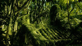 Náhledová fotografie 03