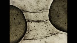 Autorizovaná reprezentace