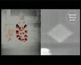 Náhledové video