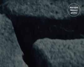 Náhledové video