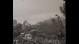 Náhledová fotografie 02