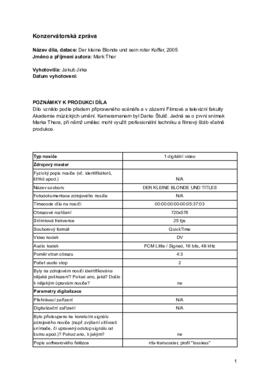Konzervátorská zpráva